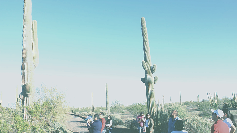 Brief history of Sonora