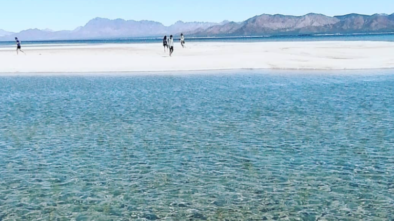 Isla Tiburón: Un viaje sagrado al corazón del pueblo Seri 