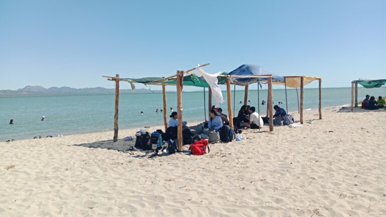 ¿Qué hacer en Hermosillo? 3 Experiencias Imperdibles entre el Desierto y el Mar